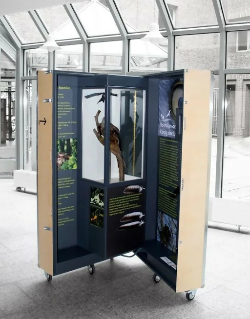 Modular Flight/Display Case - Image 6